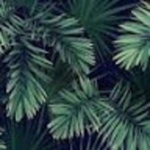 Meet your Posher, Rachael